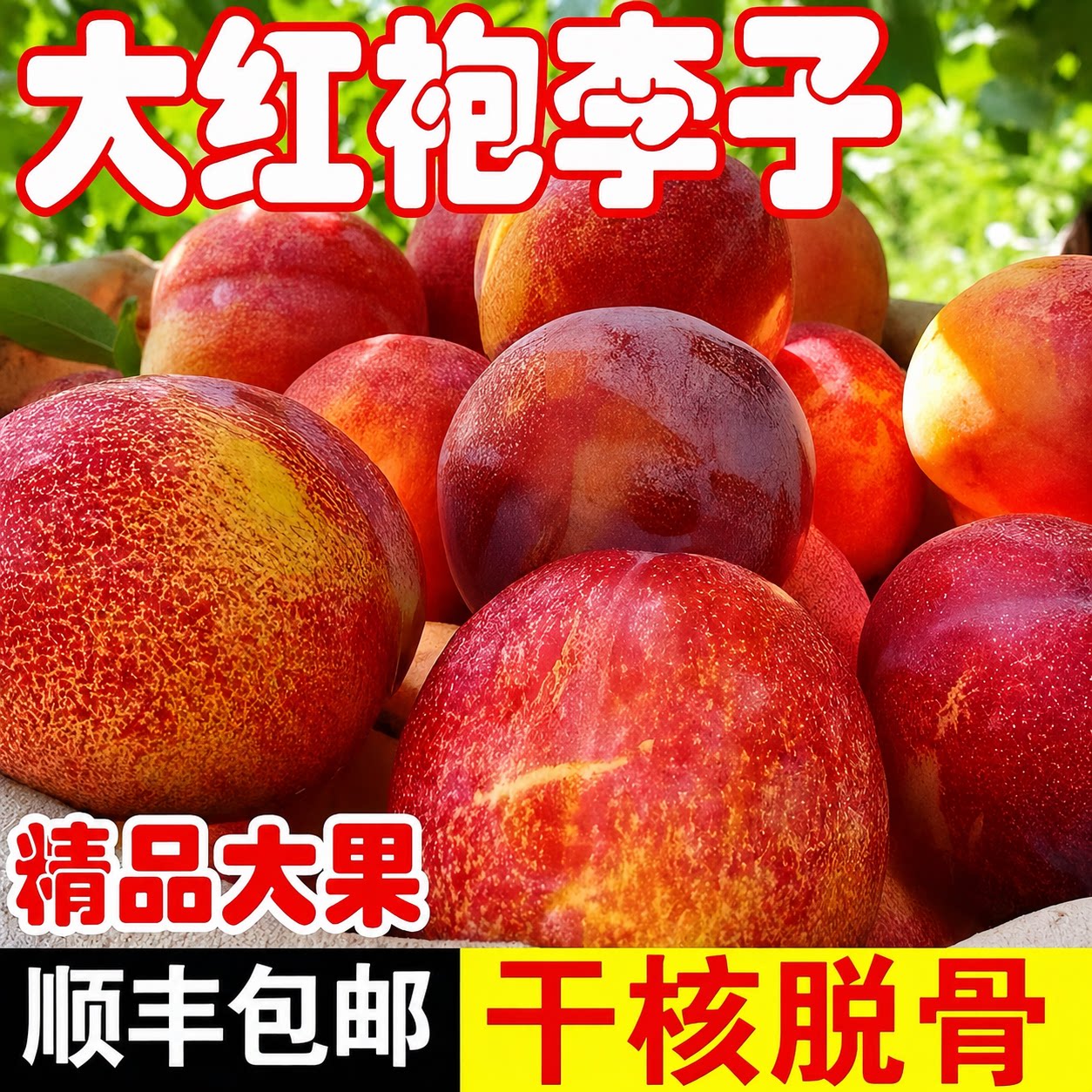 （顺丰）东北大红袍李子新鲜脆甜大李子干核黄心脱骨孕妇水果整箱