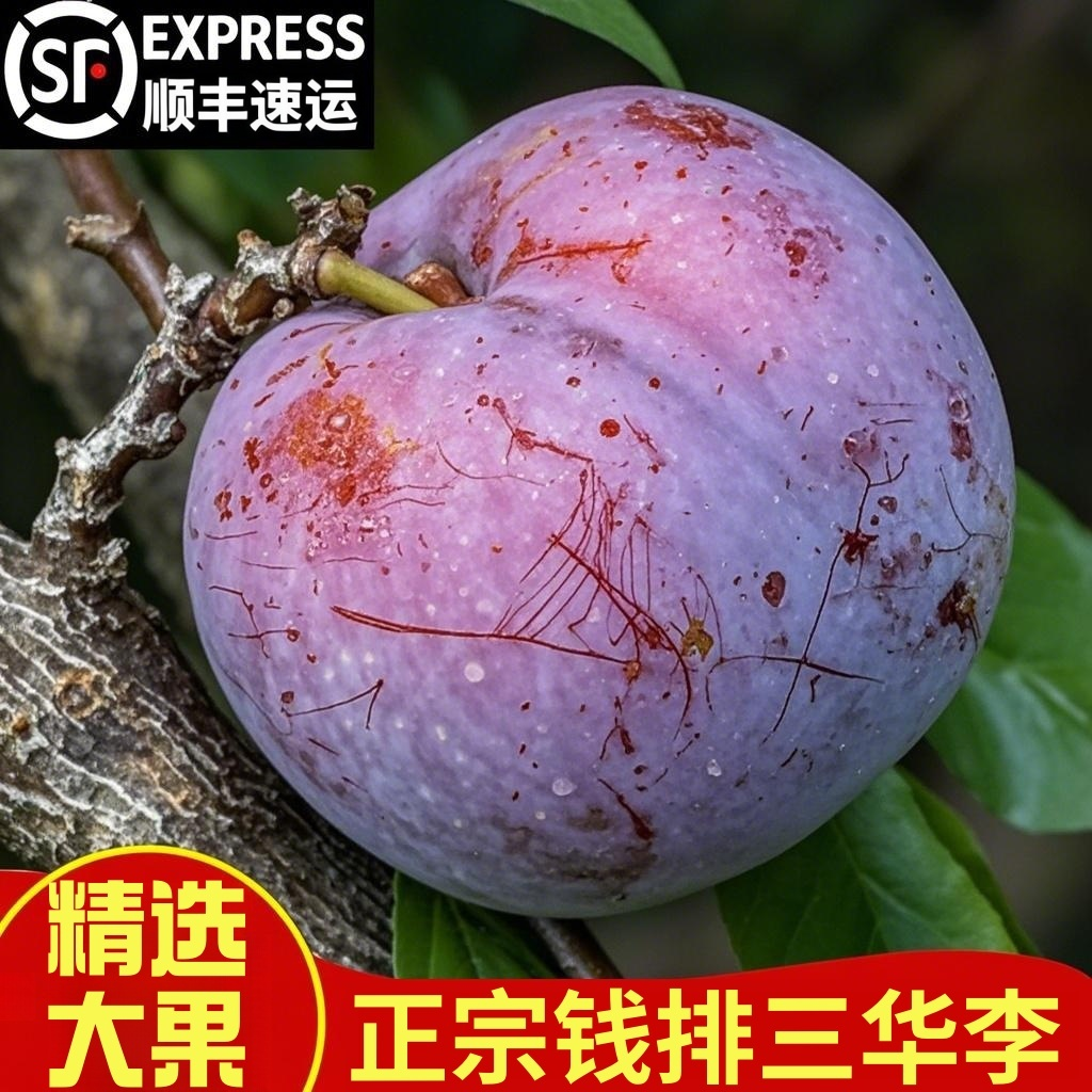 顺丰钱排三华李新鲜水果红心李子大果当季爽脆酸甜5斤包邮非广西