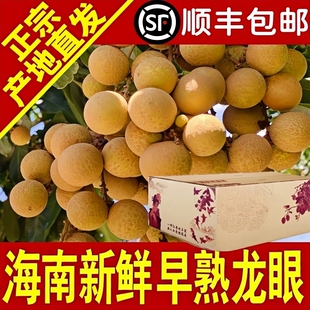 顺丰京东新鲜龙眼海南早熟储良龙眼石硖当季现摘水果鲜甜大果包邮