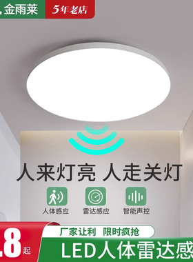 led感应灯楼梯过道吸顶灯楼道走廊灯红外人体自动感应雷达声控灯