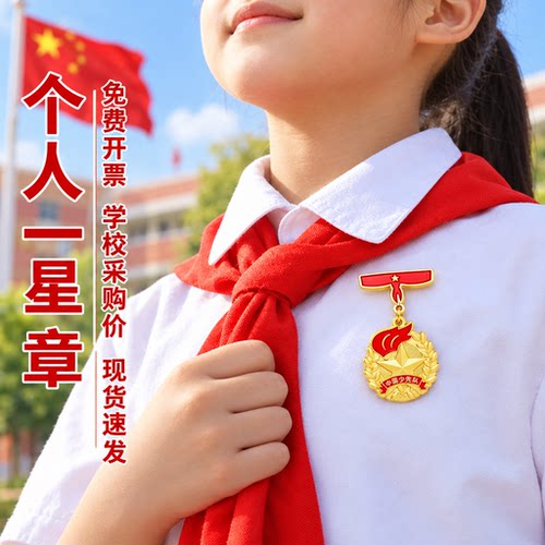 一星章二星个人红领巾奖章集体章