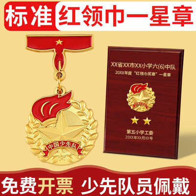 标准】少先队争章奖章全套