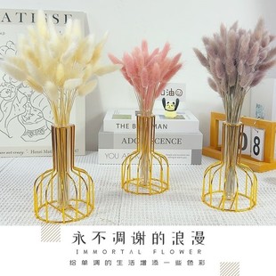 轻奢粉色芦苇兔尾草干花花束摆件真花天然风干装饰北欧客厅摆设