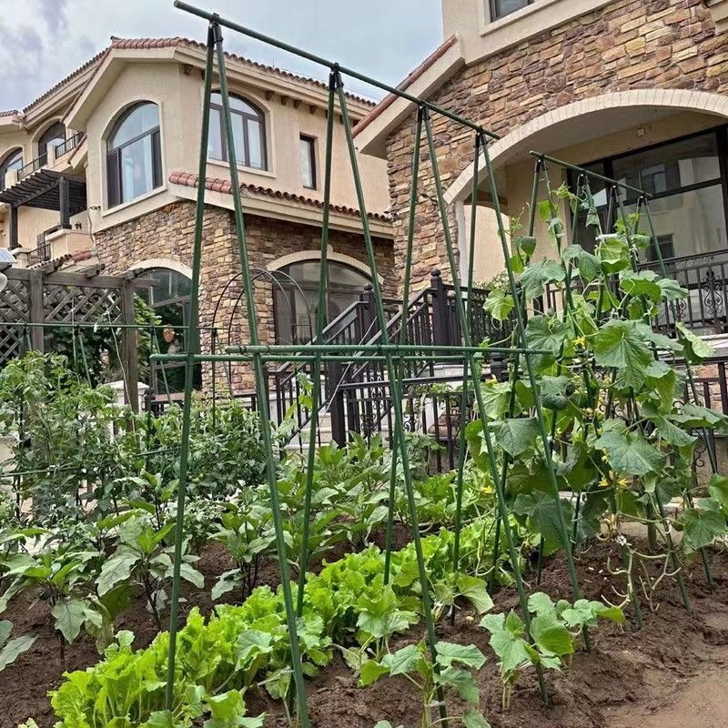 豆角黄瓜爬藤架种菜架子庭院葡萄架包塑钢管植物支架户外攀爬架子