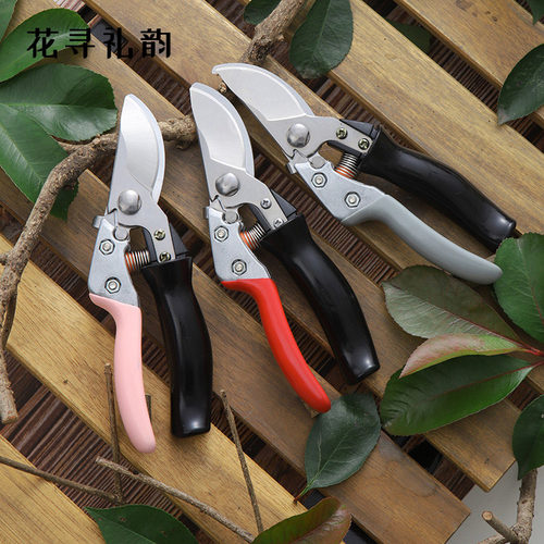 花寻礼韵园艺剪刀不锈钢树枝