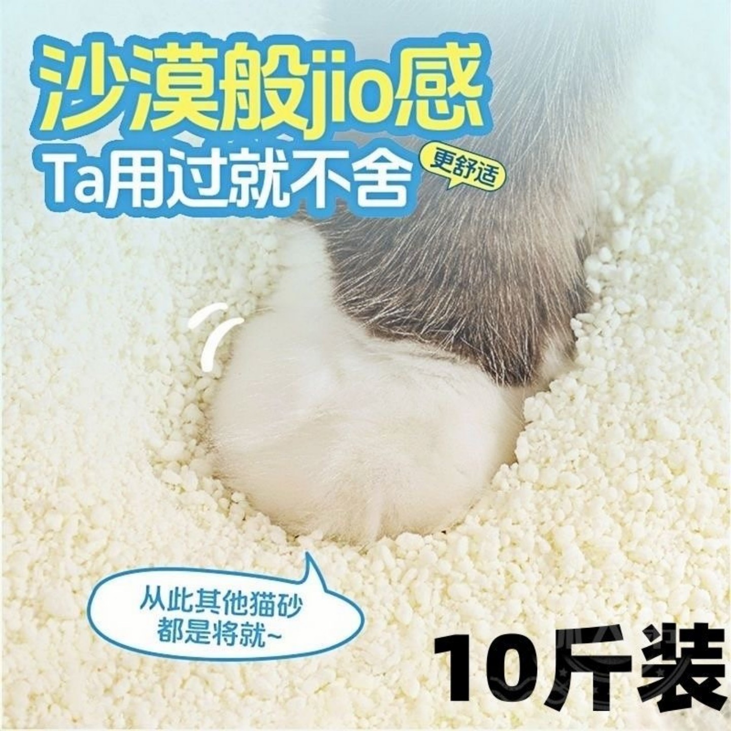 木薯混合猫砂猫舍日常