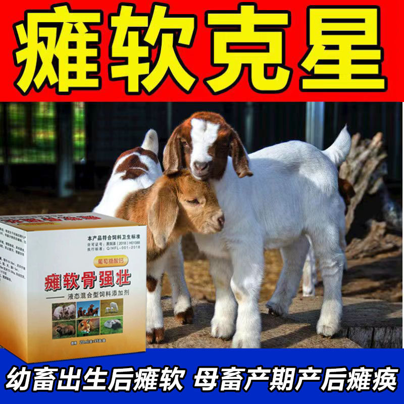 羊羔羊软瘫灵特效药小犊母牛羊猪瘫软灵救命液缺钙补维生素软瘫药