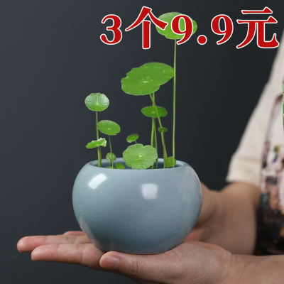 陶瓷陶瓷哥窑开片花盆无孔