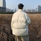 男装棉衣男PU皮棉服2023年新款宽松面包服立领冬装棉袄M2101-P105，男装棉衣，星座815-2