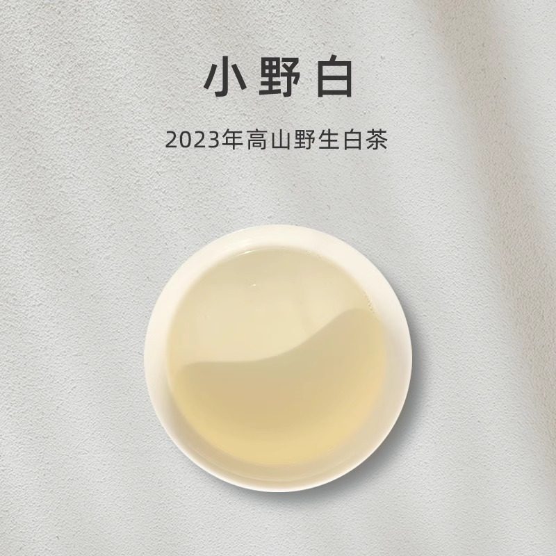 【百味茶集】「小野白」2023高山野生白茶(70g)