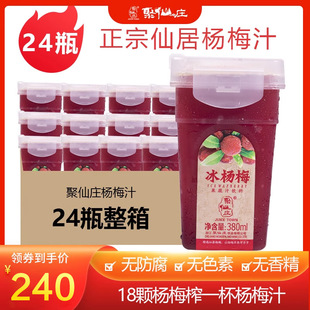 聚仙莊浙江仙居冷凍冰梅汁飲料冰鎮網紅鮮榨純果蔬汁酸梅湯 24瓶裝