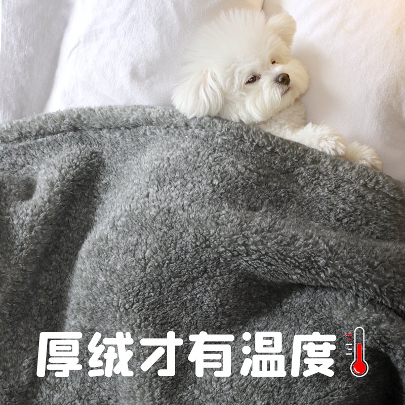 狗狗毛毯睡觉被子冬加厚小狗毯子冬季保暖睡垫毛绒小型犬沙发垫毯