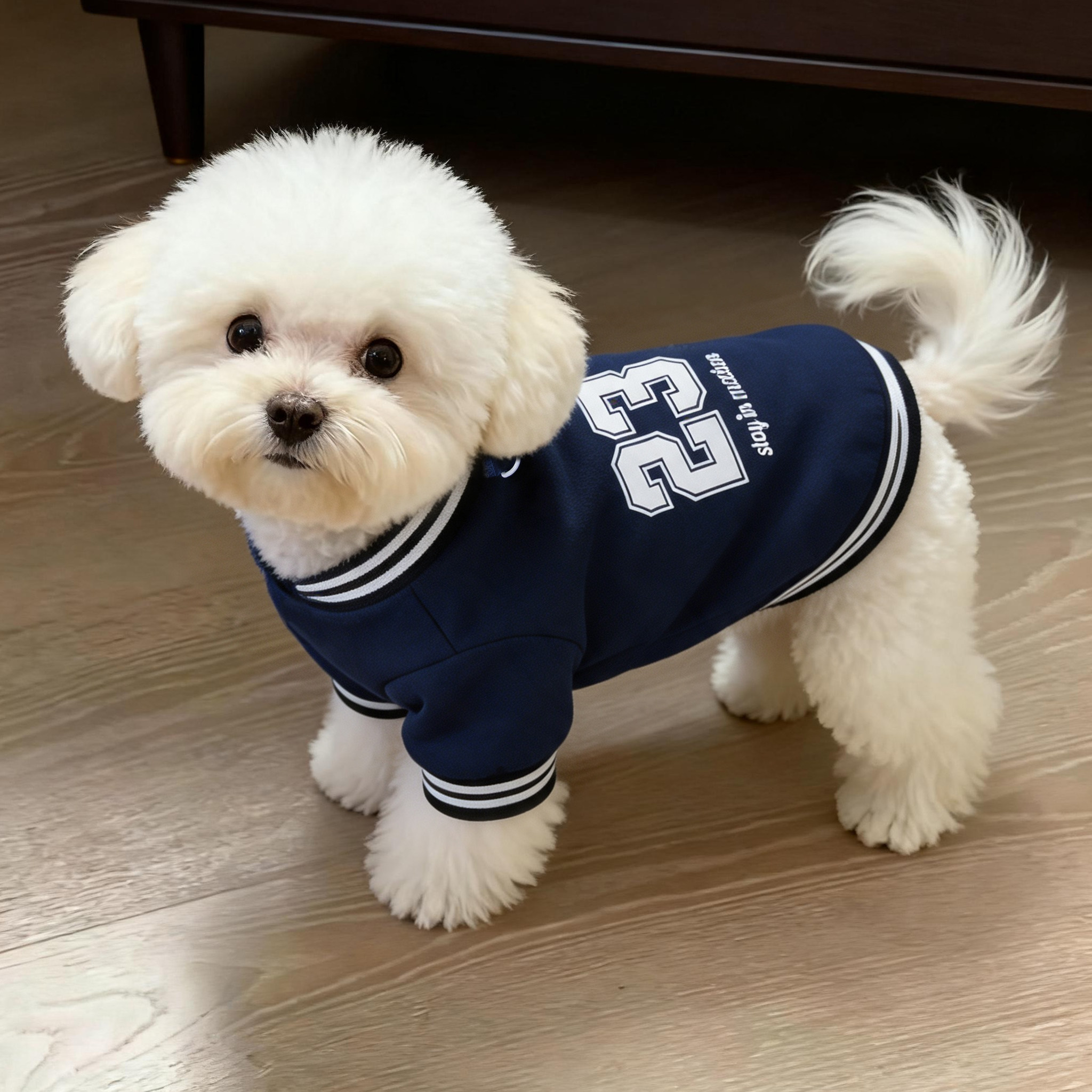狗狗衣服约克夏秋冬幼犬西高地高颜值秋天小奶狗防掉毛短袖两脚衣