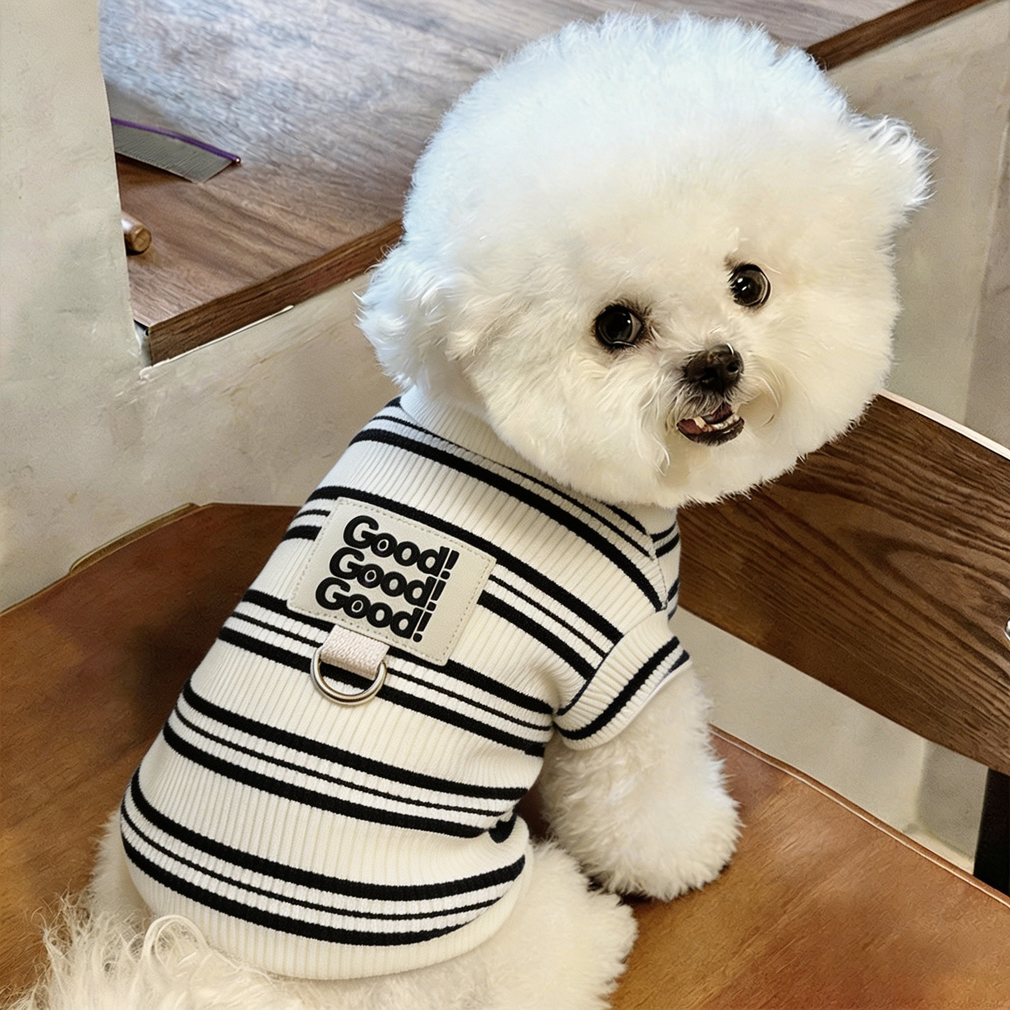 狗狗衣服春秋小狗小型犬博美比熊专用秋天新款幼犬外出防脏可牵引图片