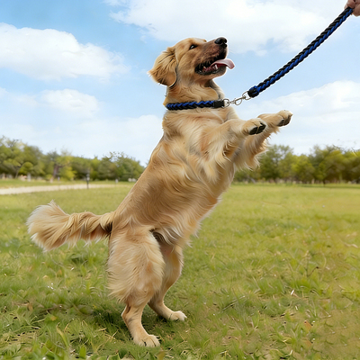 狗狗牵引绳P绳遛狗绳一体式防挣脱加粗金毛柯基防爆冲大狗外出绳