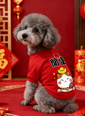 狗狗新年衣服博美冬天厚款红色喜庆可牵引棉衣泰迪过年保暖拜年服