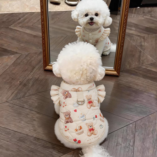 狗狗衣服秋冬保暖背心ins可爱风雪纳瑞博美幼犬防寒可牵引两脚衣