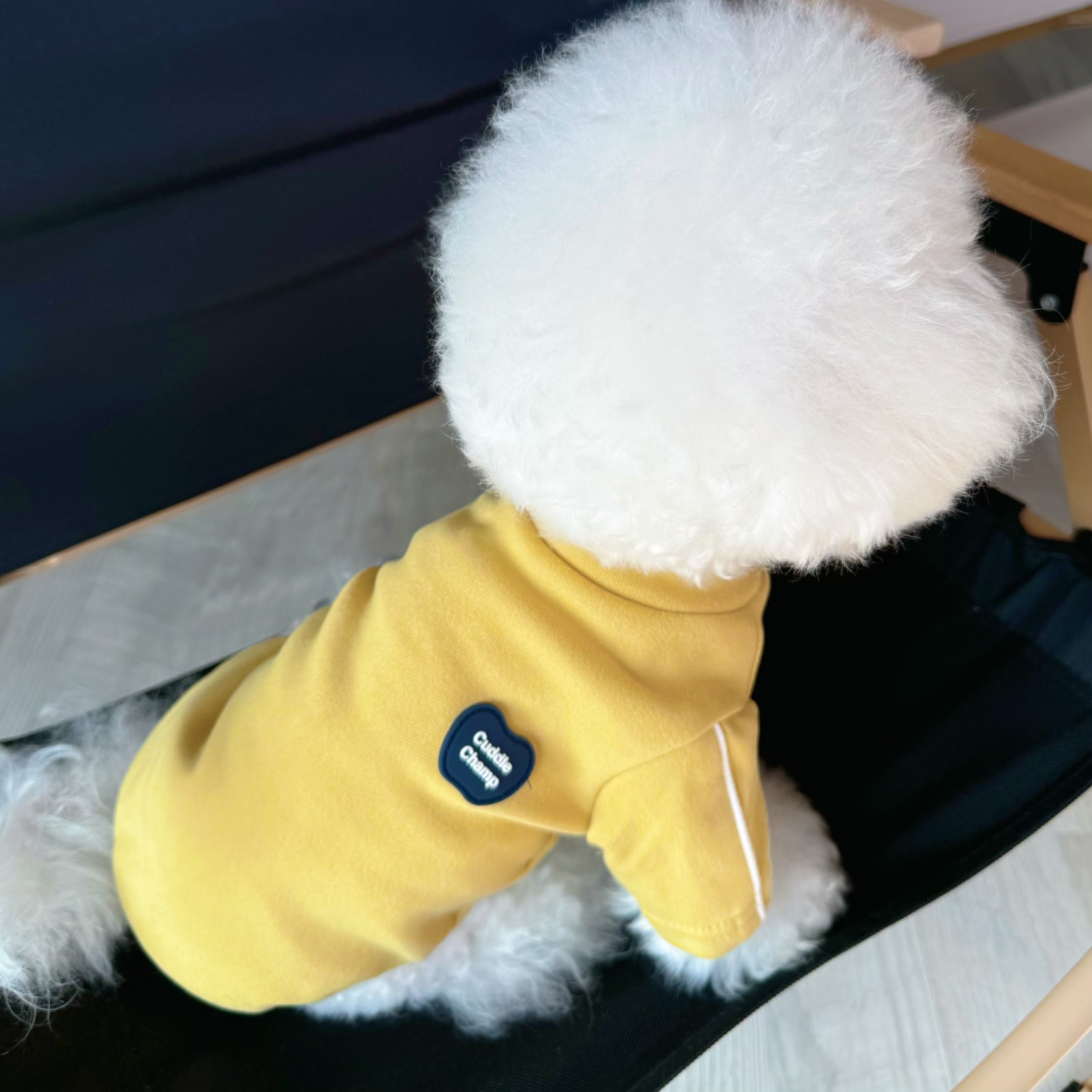 狗狗衣服2025新款冬小狗比熊泰迪秋冬两脚打底衫宠物用品户外遛狗