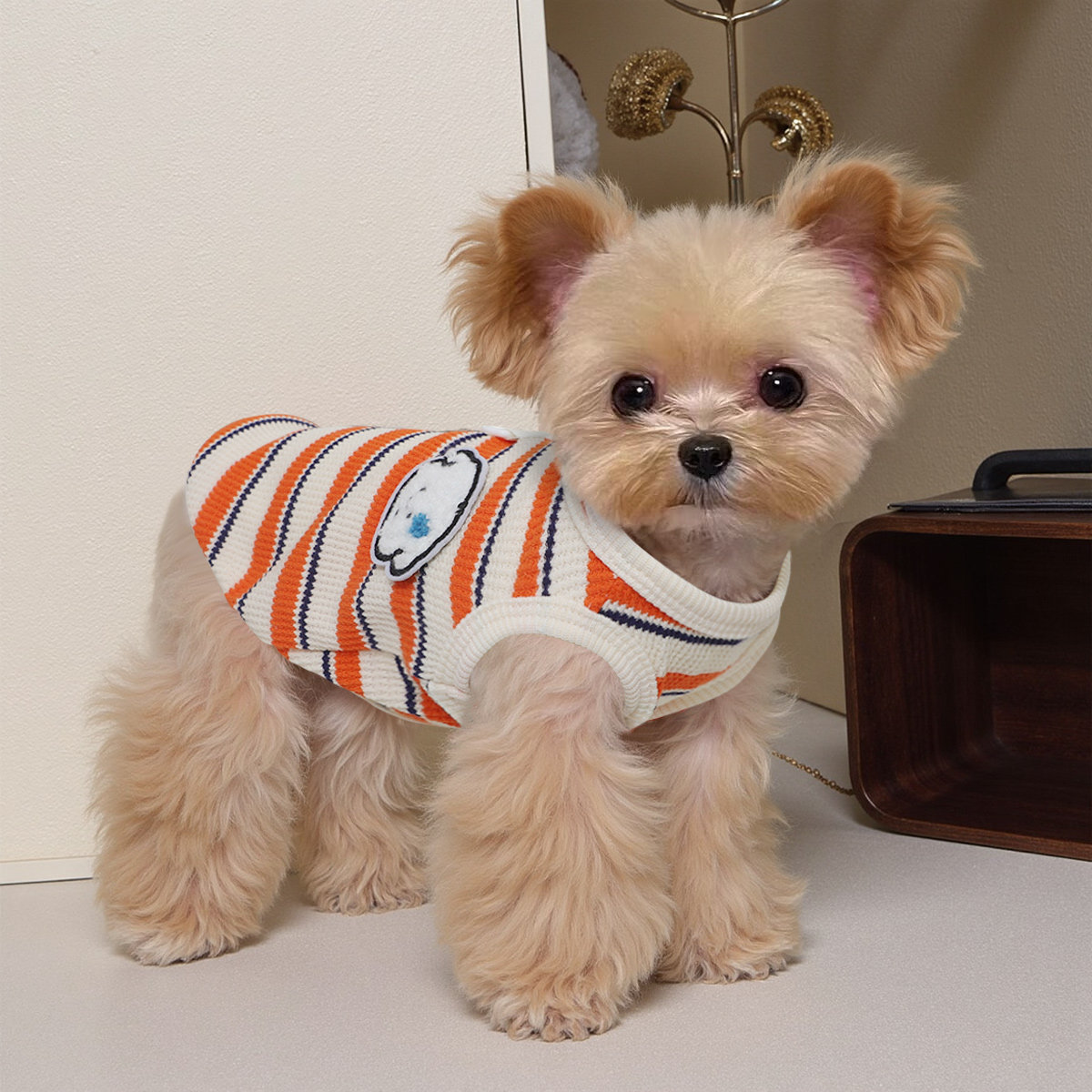 狗狗衣服休闲条纹可牵引拍照遛狗图片