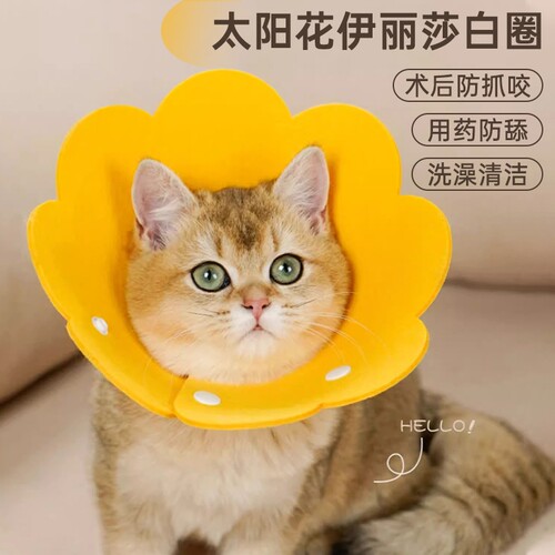 伊丽莎白圈猫咪项圈绝育脖圈脖套防舔咬通用宠物用品防舔脖圈宠物