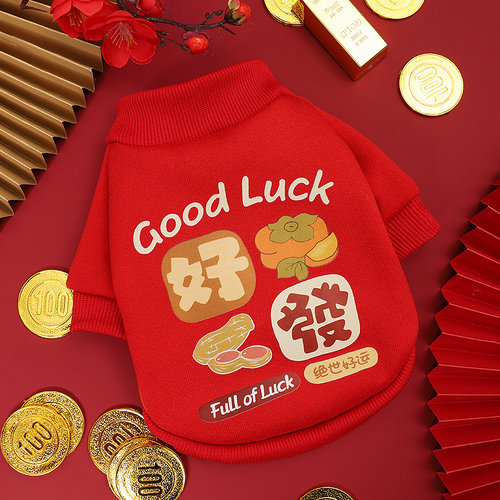 狗狗新年红色衣服泰迪比熊