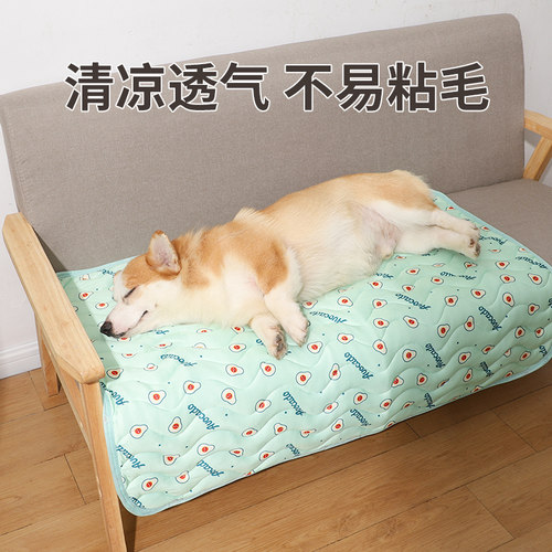 狗冰丝垫不易粘毛，拒绝清理烦恼