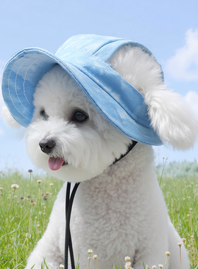 狗狗帽子小型犬比熊专用夏天户外拍照露耳朵透气防晒帽小狗遮阳帽