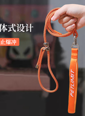 狗绳狗链子训练防爆冲p链p绳拉布拉多橙色柴犬中型犬遛柯基牵引绳