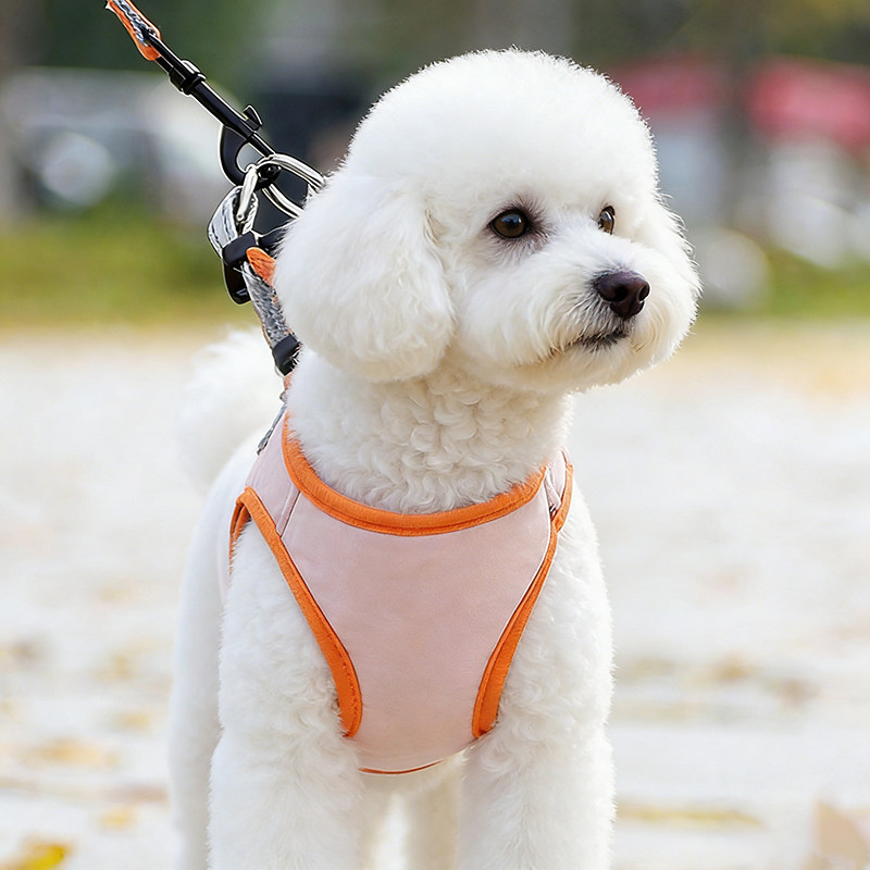 狗狗牵引绳小型犬背心式胸背带狗绳高颜值可调节宠物用品防爆冲绳,宠物/宠物食品及用品,狗牵引绳,淘宝优惠券,粉丝福利购,淘宝优惠卷