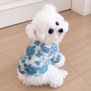 泰迪比熊印花两脚衣 衣服幼犬小型犬高颜值玫瑰花衬衫 狗狗秋季 新款