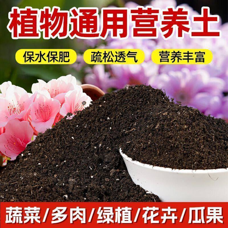 营养土通用型营养土种菜