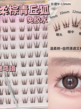 自带柔光滤镜感的棕色青丘狐~