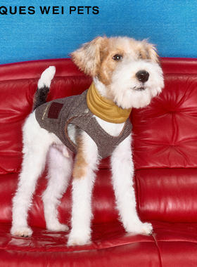 jacques wei pets设计师官方店2023aw宠物人字纹羊绒夹克