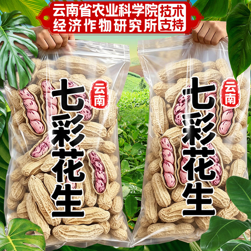 农科院云南特产七彩花生新货带壳米水煮咸干新鲜炒熟五彩牛奶花生
