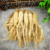 500克大型人参生晒参白参整枝东北特产人叁非西洋参片花长白山参