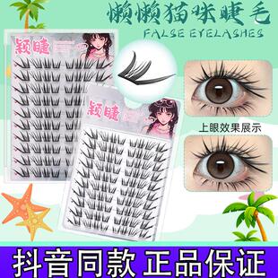 小薄片】 懒懒猫咪假睫毛柔软初学者新手潮流单簇卷翘分段式k