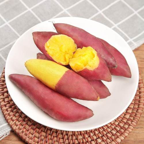 临安天目山小香薯5斤装新鲜农产品板栗红薯蜜薯软糯香甜地瓜番薯