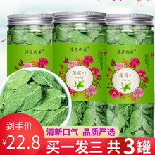 新鲜干薄荷提神醒脑泡水喝茶薄荷叶1