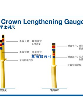 牙科材料  美国豪孚迪牙周美学比例尺CLGS