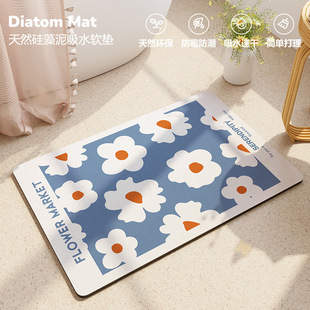 Floor mats made of diatomaceous earth for household use, abs