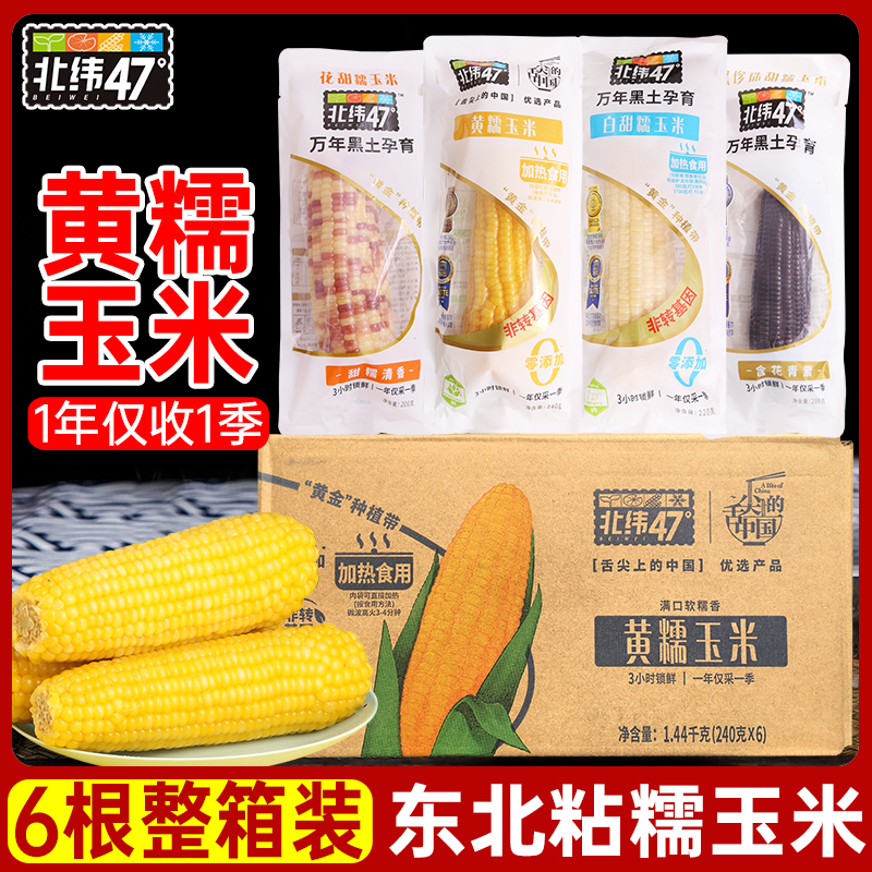 北纬47度黄糯玉米整箱200g*6根