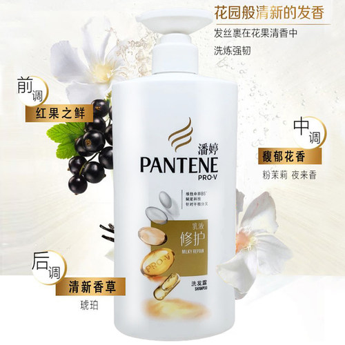 进口洗发液去屑素材模板 进口洗发液去屑图片下载 小麦优选