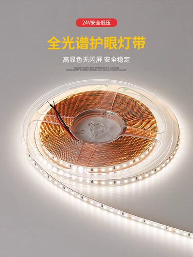 志宇Led 20米无压灯条，适用于家庭客厅吊顶24V装饰灯条户外防水