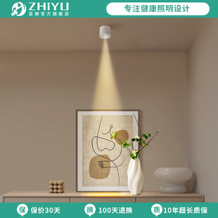 至御明装 茶室3度8度15度餐桌氛围灯161 聚光射灯超薄小角度嵌入式