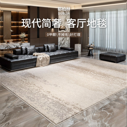 地毯客厅2025新款轻奢高级免洗可擦意式现代简约防水沙发茶几地垫