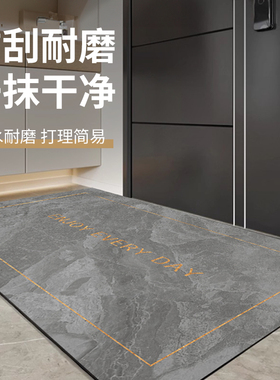 进门地垫入户门垫防尘耐脏进户门地毯家用PVC防滑入门小垫子