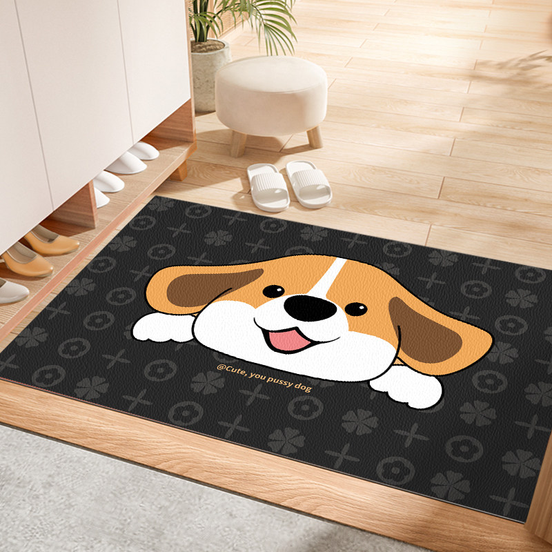 入户门地垫2024新款门里门外防滑免洗可擦耐脏家用PVC进门好打理