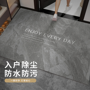 地垫入户门垫门口进门脚垫门垫家用D防滑入门PVC免洗可擦耐脏垫子