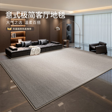 地毯客厅意式极简现代2025新款防水卧室免洗可擦轻奢高级沙发地垫
