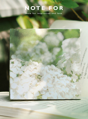 NOTE FOR 100张降温系便签《晴光浮影集》夏日清新唯美花卉紫藤植物手帐装饰造景素材纸留言记事备忘小本子
